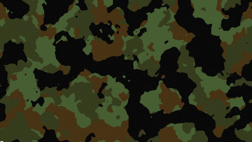 645113 (a): :1920x1080